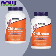 1+1 나우푸드 키토산 크롬 1500mg 240 베지 캡슐 미네랄 포도당 글루텐프리, 240정, 2개