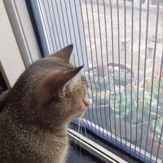 하루꿈 맞춤제작 방충망 벨크로 탈부착 간편설치 모기장 창문 베란다 현관 방충망, 1개