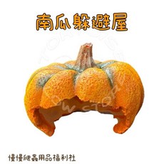 《慢慢爬》南瓜躲避屋 造型 烏龜 守宮 蛇 蜥蜴 爬蟲 造景, 1個