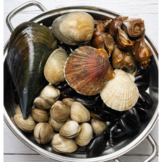 조개찜세트 2kg 가리비 키조개 소라 대합 홍합 칼국수면, 풀코스 조개찜세트 (6종조개+칼국수면)