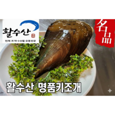 [활수산] 왕키조개 1+1=2마리 큼지막한 관자 구이용 찜용, 1개, 2kg