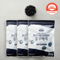 냉동 블루베리 미국산 1kg x 3개 베리필드, 단품, 1개