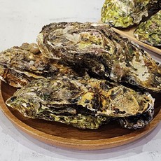 삼배체 굴 1kg(2-4미 내외), 1개, 1kg