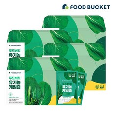 푸드버킷 유기농 케일즙, 100ml