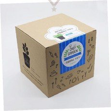 실내 채소 재배 세트 가정용 허브 텃밭 키트 쌈채소 씨앗 포함 초보자 원예 화분, 상세페이지 참조