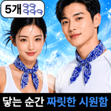 펠코스 쿨 스카프 아이스 쿨링, 5개, 블루