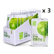 제주습관 유기농양배추즙 제주산 NFC저온착즙 100ml, 30개