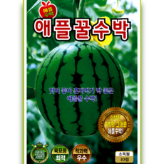 애플 꿀 수박 씨앗 고당도 소형 미니수박 혼자먹기 좋은 육묘용 수박 10립 ks