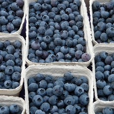 싱싱한 칠레산 생블루베리 당도선별 블루베리 125g 4팩