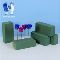 이지로지엑스 생화용 고밀도 플로랄폼 꽃꽂이재료용품 화환 잘라쓰는 꽃꽂이폼, 10개