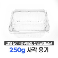 블루베리 용기 250g 사각 (100개) / 베리류 아로니아 오디 복분자 방울토마토 과일 포장 용기, 1세트, 100개