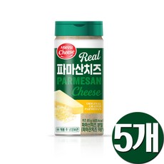 서울우유치즈 파마산 치즈가루 85gx5, 5개, 85g