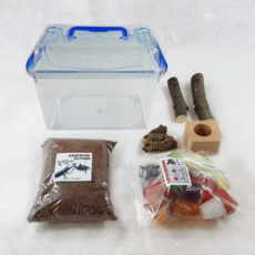 장수풍뎅이 성충 사육세트 관찰세트 산란세트, 01.[중형클린] 장수풍뎅이용 관찰세트, 1개