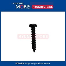 현대모비스 기아 순정 스크류 태핑 / 1243104209B / 십자 피스 볼트 / 번호판등 트렁크 리드 손잡이 고정 볼트 / 순정 부품, 1개, 호환 차종