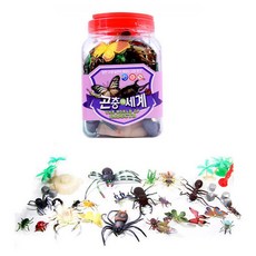 키즈인 곤충학습 곤충의 세계 (대)