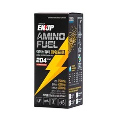 엔업 아미노워터 파워프로 220g (55g x 4포) 1box, 1개, 55g