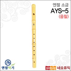 엔젤 AYS-5