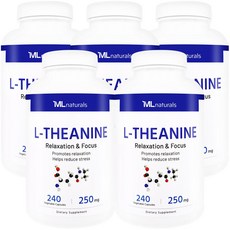 [미국번개배송] 착한명품 마이라이프 내추럴스 L-테아닌 250mg 240정 5병, 5개