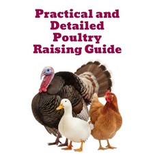 (영문도서)Practical and Detailed Poultry Raising Guide Paperback, Independently Published, English, 9798272511522