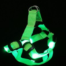 소형견 LED 강아지 하네스 가슴줄 그린 강아지하네스리드줄세트xs