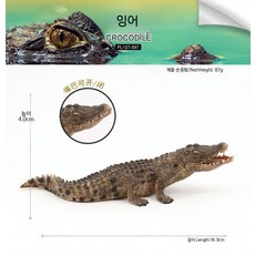야생동물 모형 피규어 악어 앨리게이터 나일악어 멧돼지 양서류 파충류 교육 PL127-597 악어