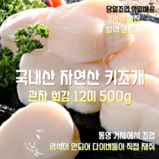 [산지직송] 국내산 자연산 새벽수확 당일배송 통영 최고급 키조개 생관자 횟감 500g 12미 재철요리 선물용 가정용, 1세트, 새벽수확 키조개 생 관자 횟감 500g 12미