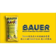 BAUER 高強度水泥填縫接著劑, 1個