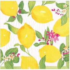 캐스퍼 리몬첼로 종이 칵테일 냅킨 20박스, 1