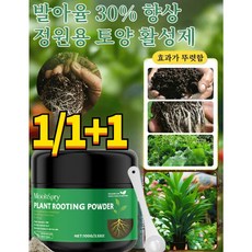 1/1+1 토양 영양 활성제 식물 발근촉진제, 2개, 100g
