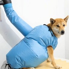 하노빅 애견 드라이어복 드라이룸 강아지드라이옷 강아지말리기 강아지용품