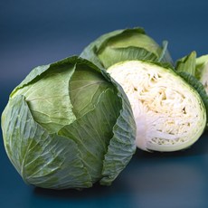 [농장직송] 제주 햇 양배추 대용량 1통~5통 (1.5kg내외), 양배추 1통