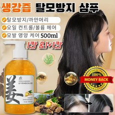 생강즙 오일 컨트롤 볼륨 탈모방지 흑발 샴푸 pH 약산 천성적인 하수오, 2개, 500ml