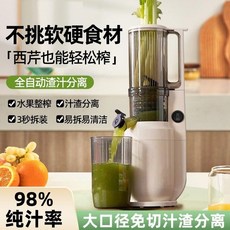 당근착즙기 주스기 과즙 쥬서기 가정용 사과 쥬스기 카페 생과일 주서기 믹서기 기계, 04.흰색 저속 착즙기 (220V)