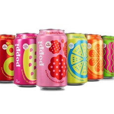 외국 탄산 음료 스파클링 소다 음료수 프리바이오틱 버라이어티 12 플로즈 팩이 포함된 2MS 박스(12 카운트 루트 맥주), 12개입