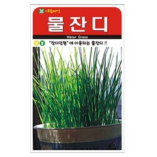 [우야플랜트샵] 물잔디 2000립, 10개