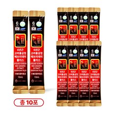 6년근 홍삼 스틱 진액 실속형 끝판왕 에브리데이 플러스, 10개, 10ml