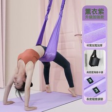 空中瑜伽吊繩 升級加強款 居家懸掛訓練, 空中瑜伽繩【紫色】, 1個