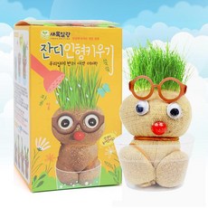 잔디 인형 키우기(못나니) 잔디 키우기 식물 재배 키트