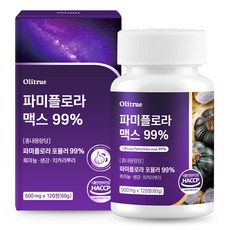 대용량 파미 플로라 99% 흑마늘 생강 식약청인증, 1개, 120정