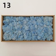 신상품 인공 녹색 식물 영원한 생명 이끼 잔디 DIY 화분에 심은 미니 풍경 가짜 정원 벽 장식 보존, 14)10g, 13