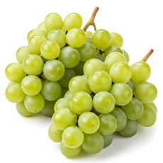 [수출용] 초고당도 당도선별 고당도 샤인머스켓, 1박스, 2kg 4~5수 내외
