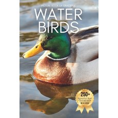 (英文圖書)Picture Book of Graceful Water Birds: A Peaceful Collection of Real Bird Photogr... 平裝版, Independently Published, 英文