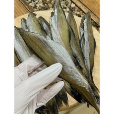 쫄깃! 단백한 국내가공 두절노가리, 1개, 500g