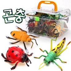 (AT) 아톰산업 곤충사파리, 1개
