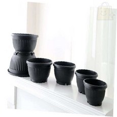 쏘굿픽 다육이화분 분재 호박화분, 15x10cm