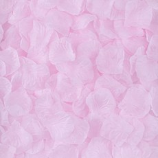 아트포유 장미 꽃잎 컨페티 플라워샤워 웨딩 촬영 꽃가루, 400개, 라이트 핑크