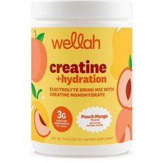 Wellah 크레아틴 + 하이드레이션 파우더 (피치 망고) 30회 분량 - 모노하이드레이트 함유 전해질 음료, Wellah 크레아틴 + 하이드레이션 파우더 (피치 망, 207g, 1