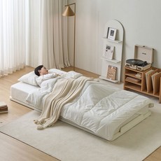 파로마 소프 E0등급 캔바 저상형 침대(슈퍼싱글 / 퀸 / 킹), 01.SS 프레임 DGM260 착불_아이보리