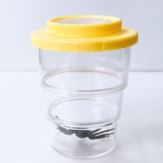 昆蟲觀察三節杯 附放大鏡 兒童戶外探索玩具, 1個, 寵物來了 昆蟲觀察三節杯-黃