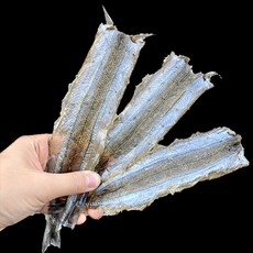 통큰 1등급 꽁치 3마리 학꽁치포 미끼용 삼봉에기 한치 제주 심해 갑오징어 미끼 생미끼, 일반